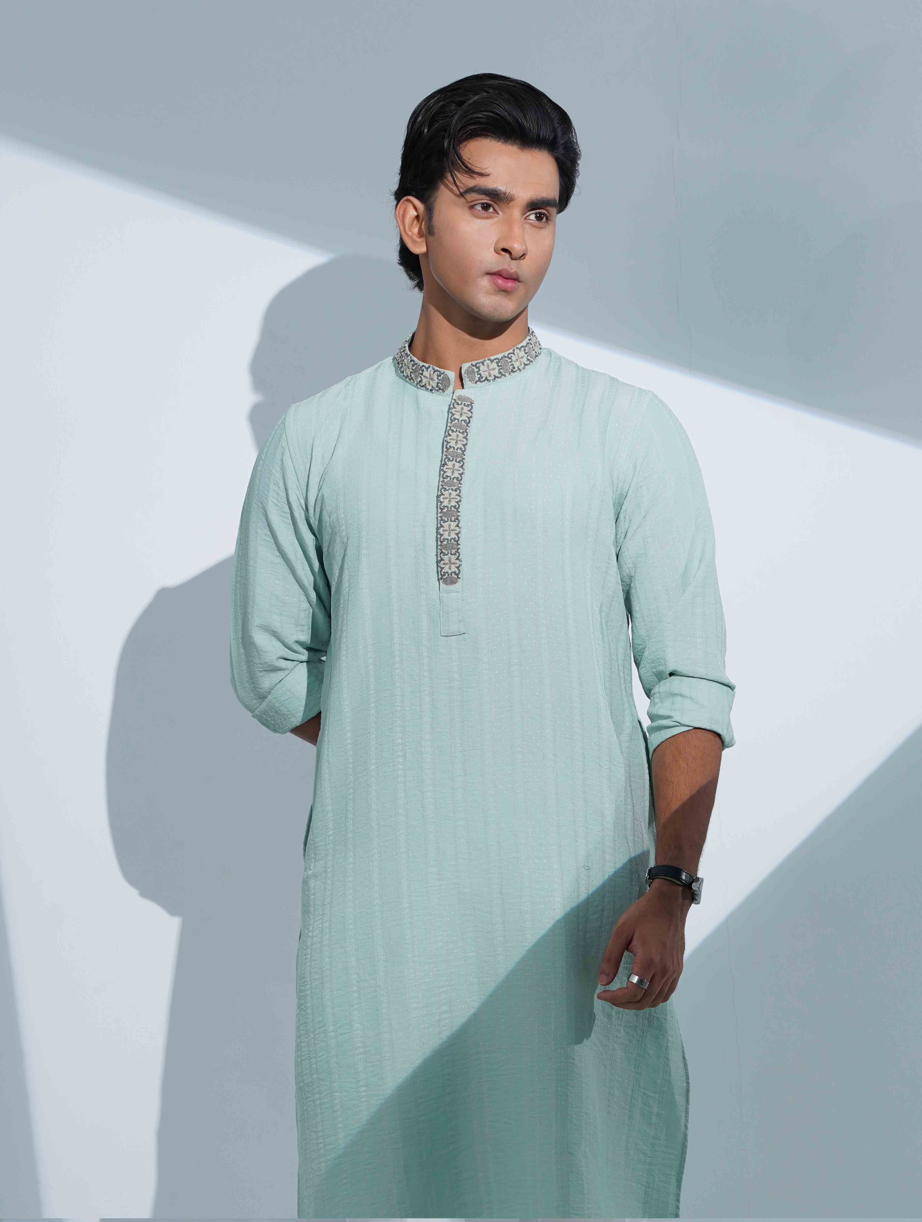 Paste color premium panjabi