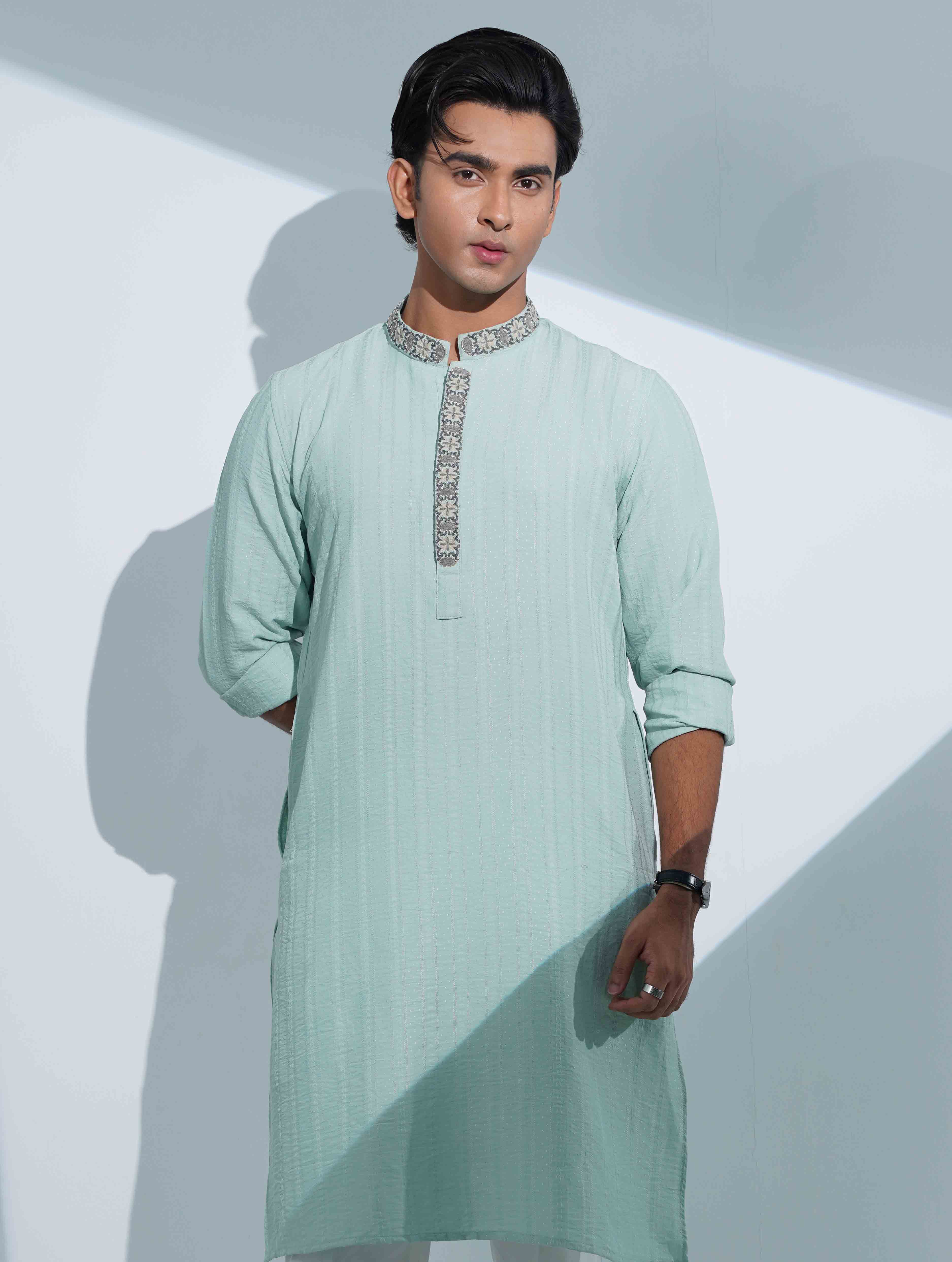 Paste color premium panjabi
